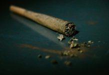 He Says, She Says: Dissenting Opinions On Marijuana Or Cannabis Use brown cigarette stick on blue surface